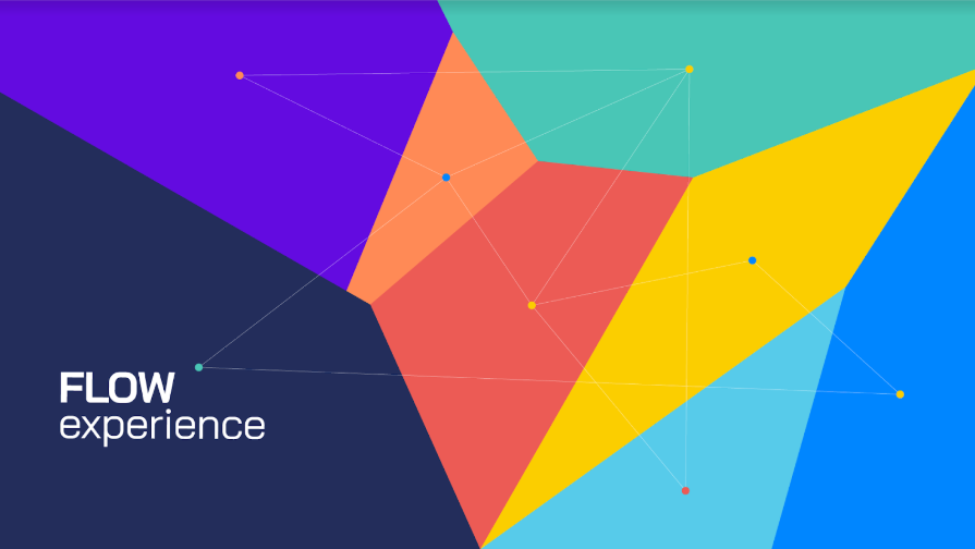 Flow Experience 2020